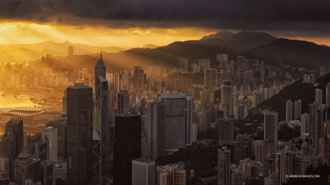 5 Điều Không Nên Bỏ Qua Khi Ghé Thăm Hong Kong